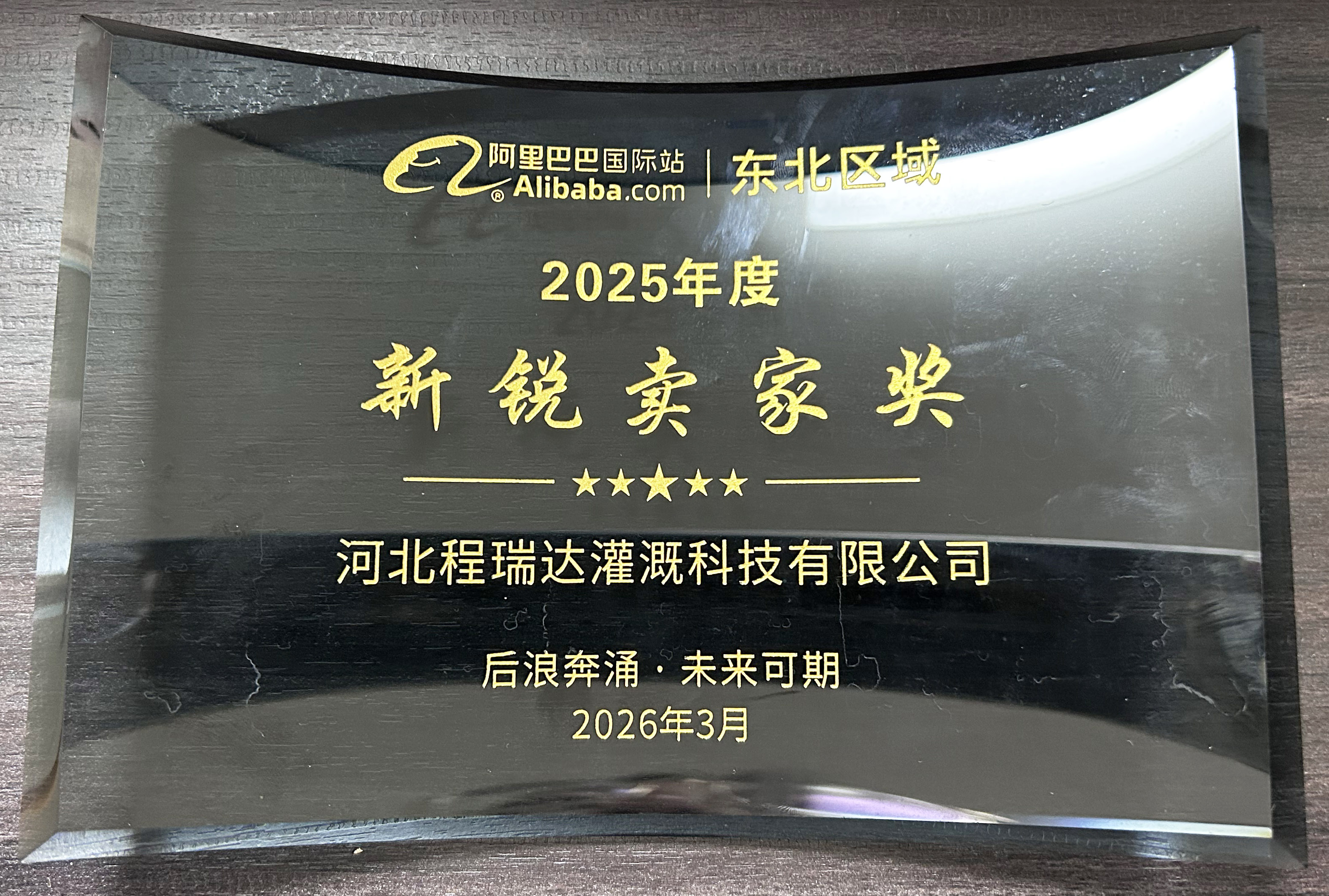 北辰程瑞达灌溉 | 荣获阿里国际站新锐卖家奖